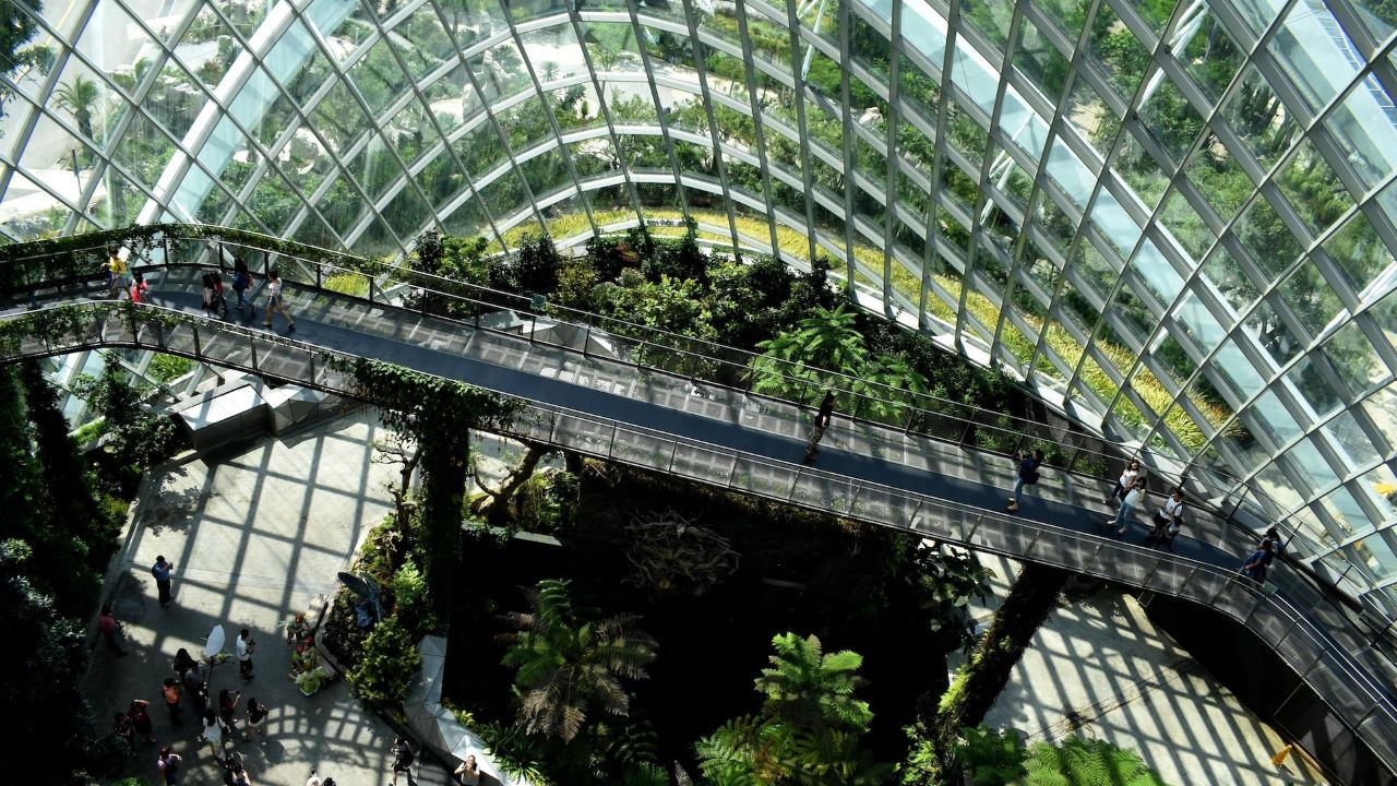 Your Future Depends Upon Switching to Green Energy & Green Buildings